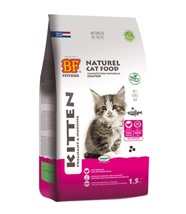 Bf Petfood Premium Quality Kat Kitten Pregnant / Nursing