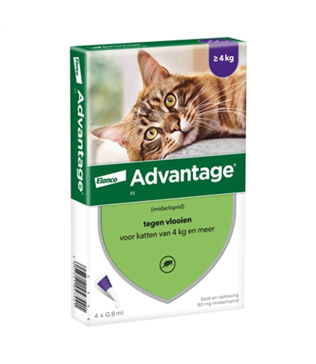 Elanco Advantage Kat