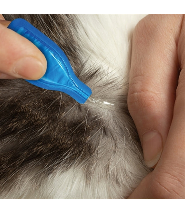 Beaphar Fiprotec Kat Tegen Vlooien & Teken