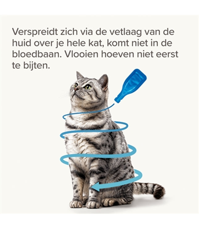Beaphar Fiprotec Kat Tegen Vlooien & Teken