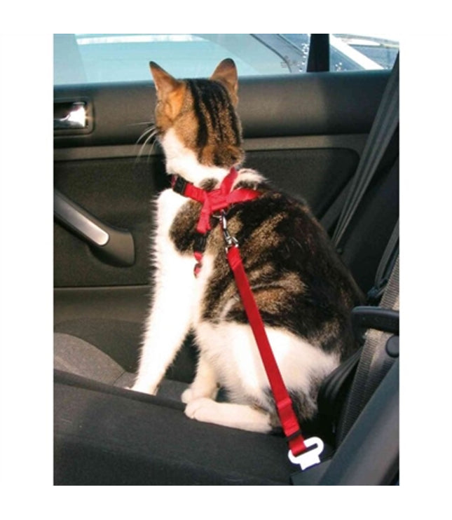 Trixie Kattentuig Voor In De Auto Rood