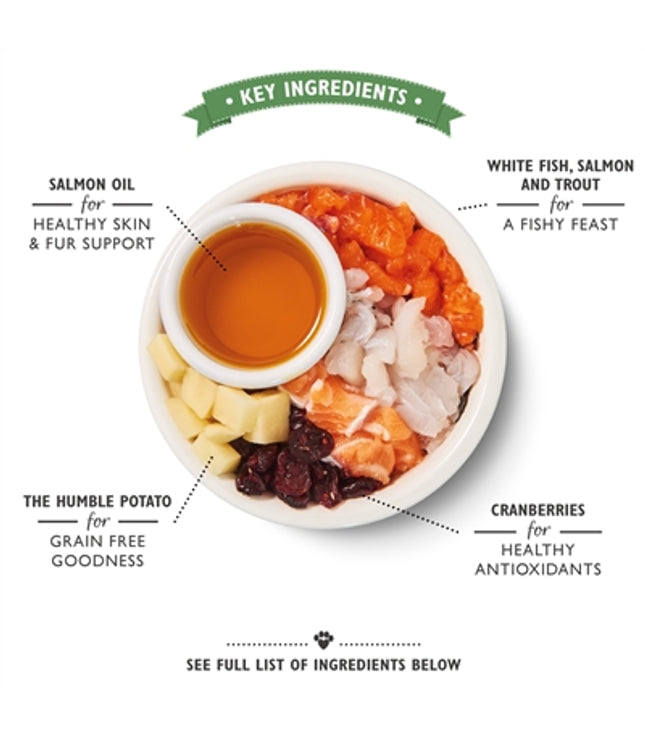Lily's Kitchen Cat White Fish / Salmon