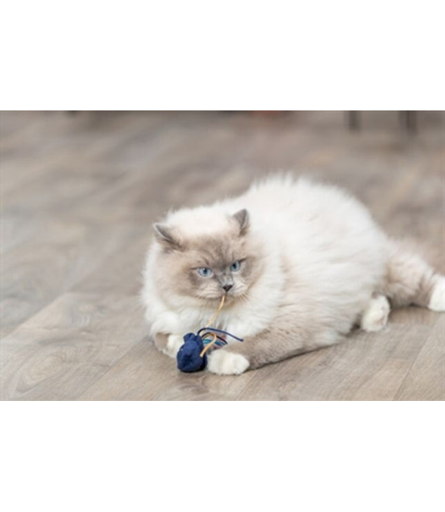 Trixie Zeedier Pluche Met Catnip Assorti