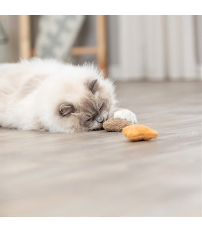 Trixie Beer Pluche Met Catnip Assorti