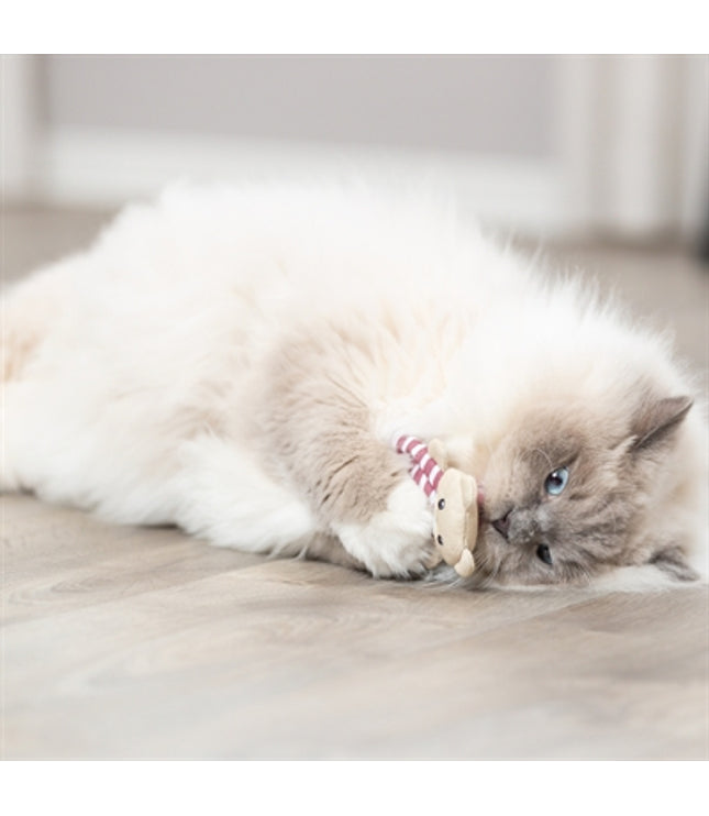 Trixie Beer Stof Met Catnip