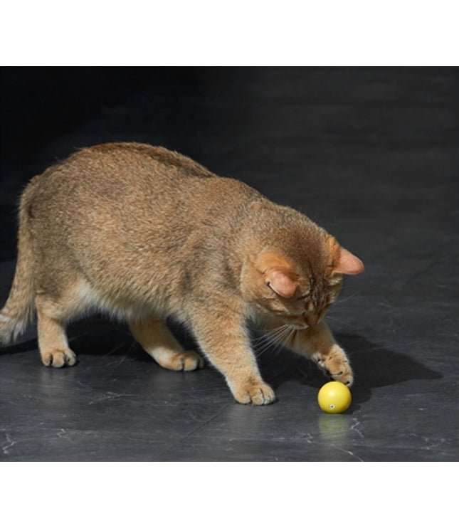 Eti Dynamische Speelbal Kat Assorti