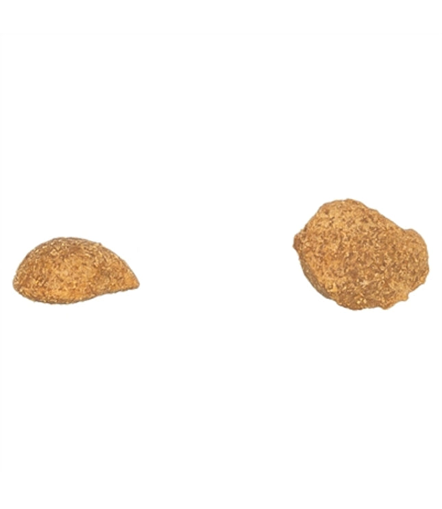 Trixie Nuggets Met Kippenborst En Zalm