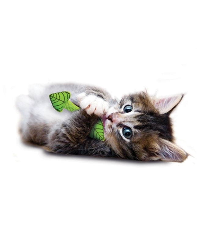 Petstages Fresh Breath Mint Stick