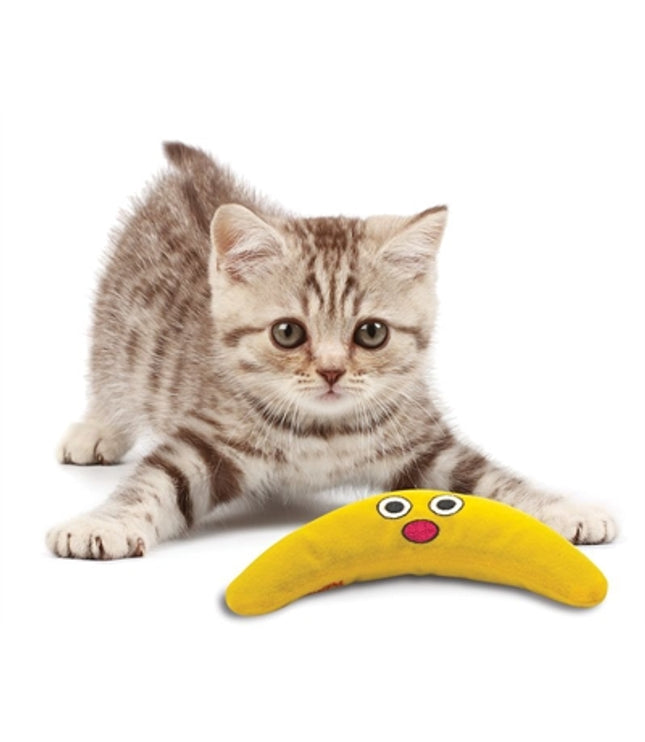 Petstages Green Magic Boomerang Buddy