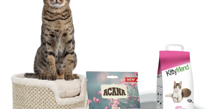Katten Opstartpakket