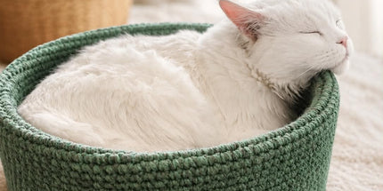 Handgehaakte Kattenmand – Groen