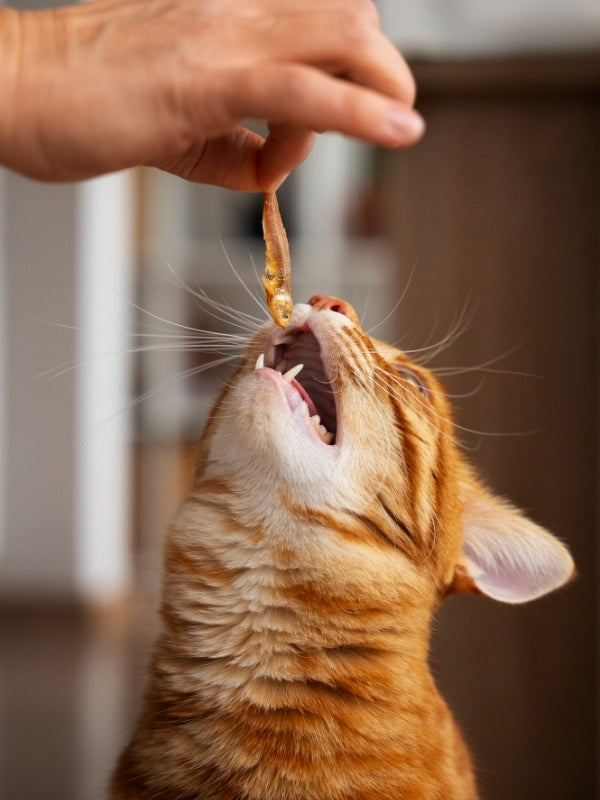 <h3>Snacks</h3>